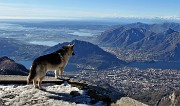 04 Dal Resegone vista spettacolare su Lecco, i suoi laghi , i suoi monti